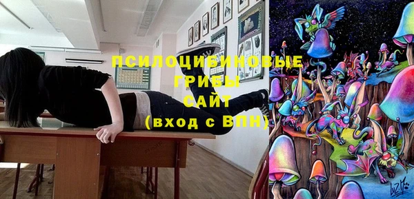 ECSTASY Алзамай