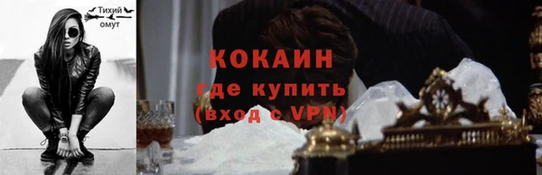 ECSTASY Алзамай