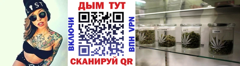 Бошки марихуана Amnesia  магазин  наркотиков  Богучар 